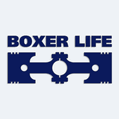 Samolepka na auto s nápisom Boxer life