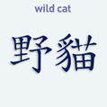 Nálepka na auto s čínskym znakom Wild Cat