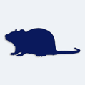 Nálepka silueta myš na auto