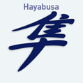 Nálepka na auto s čínskym znakom Hayabusa