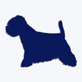 Nlepka pes v aute - west highland terrier