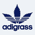 Nlepka na auto adigrass
