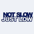 Nlepka na auto s npisom Not slow just low